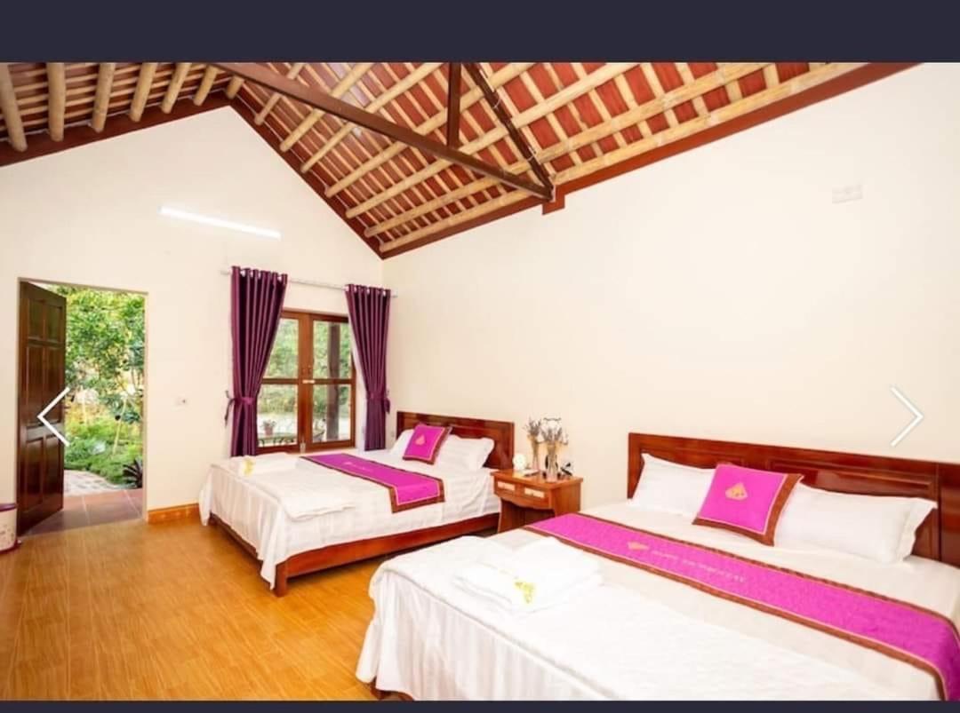 Viet Anh Homestay Νιν Μπιν Εξωτερικό φωτογραφία