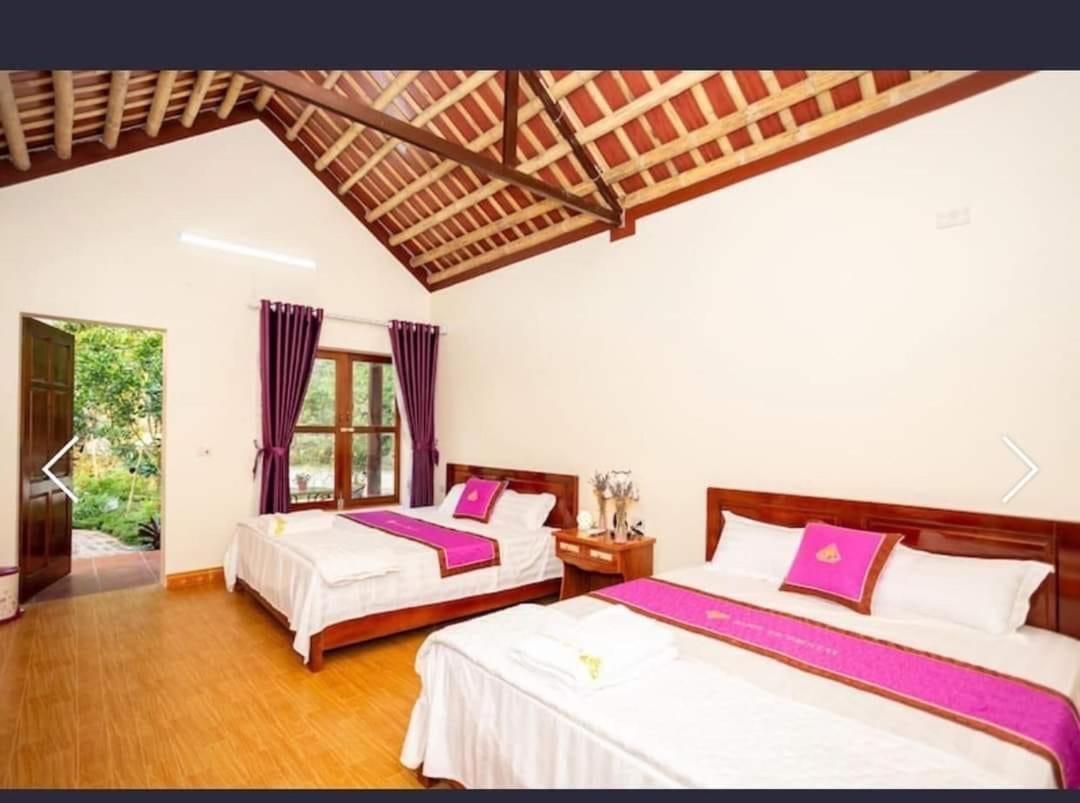 Viet Anh Homestay Νιν Μπιν Εξωτερικό φωτογραφία